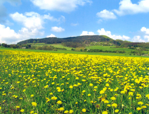 Aussicht aus der Ferienwohnung