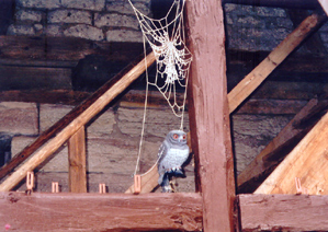 romantischer Treppenaufgang