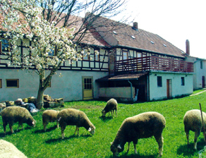 Ferienwohnung mit Terrasse