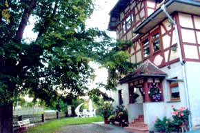 Haupthaus mit Hausbaum