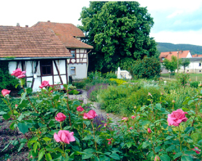 Cottage-Garten
